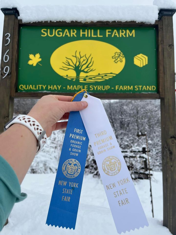 Hay Award